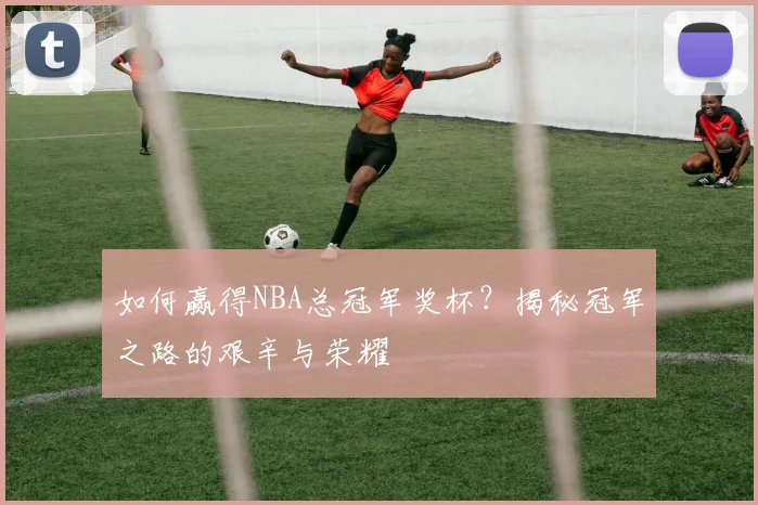 如何赢得NBA总冠军奖杯？揭秘冠军之路的艰辛与荣耀